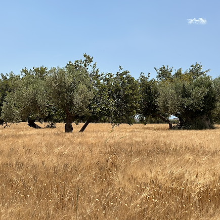 Vélo Italie Italie du Sud