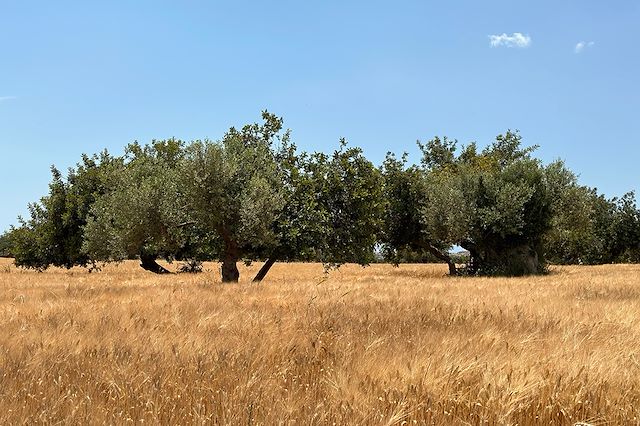 Vélo Italie Italie du Sud