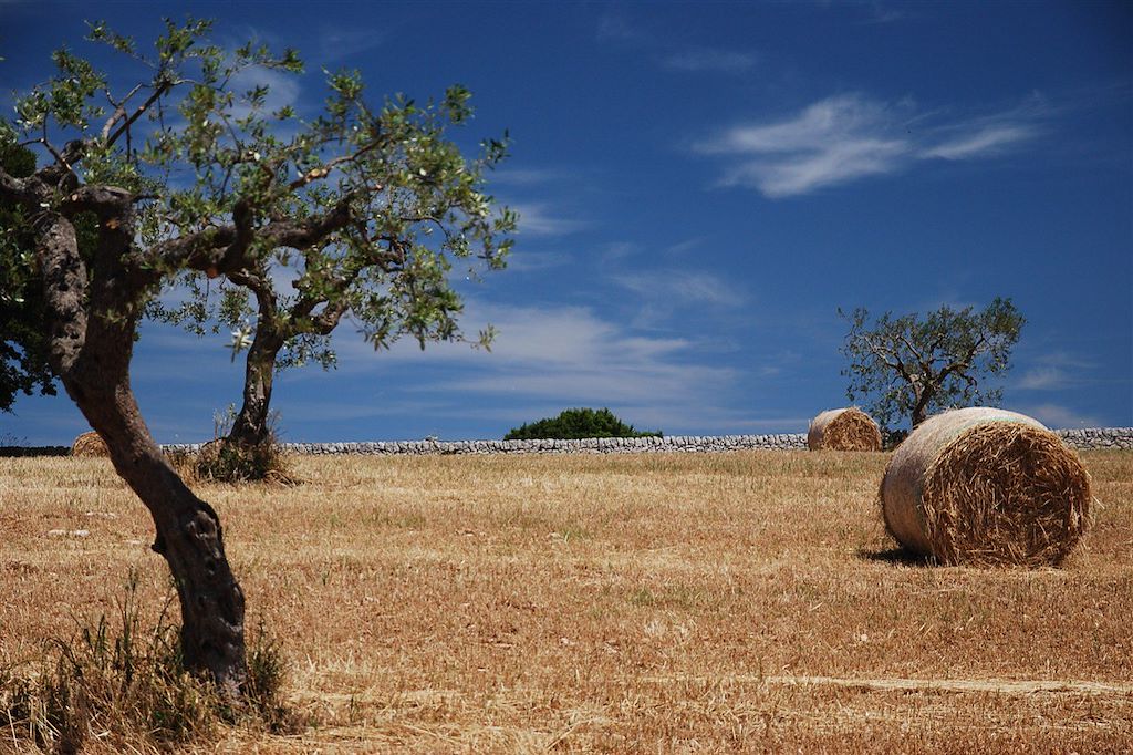 Image Vallée d'Itria à vélo - Italie du Sud à vélo - Séjour Alberobello