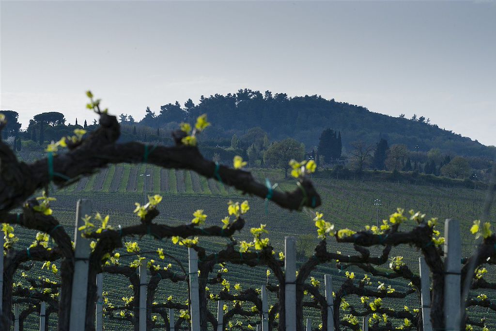 Image Séjour à San Gimignano - Le Chianti à vélo - Toscane à vélo