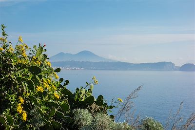 Le Vésuve - Campanie - Italie