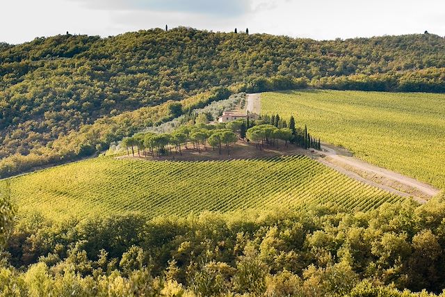 Voyage La Toscane et le Chianti, les immanquables à vélo