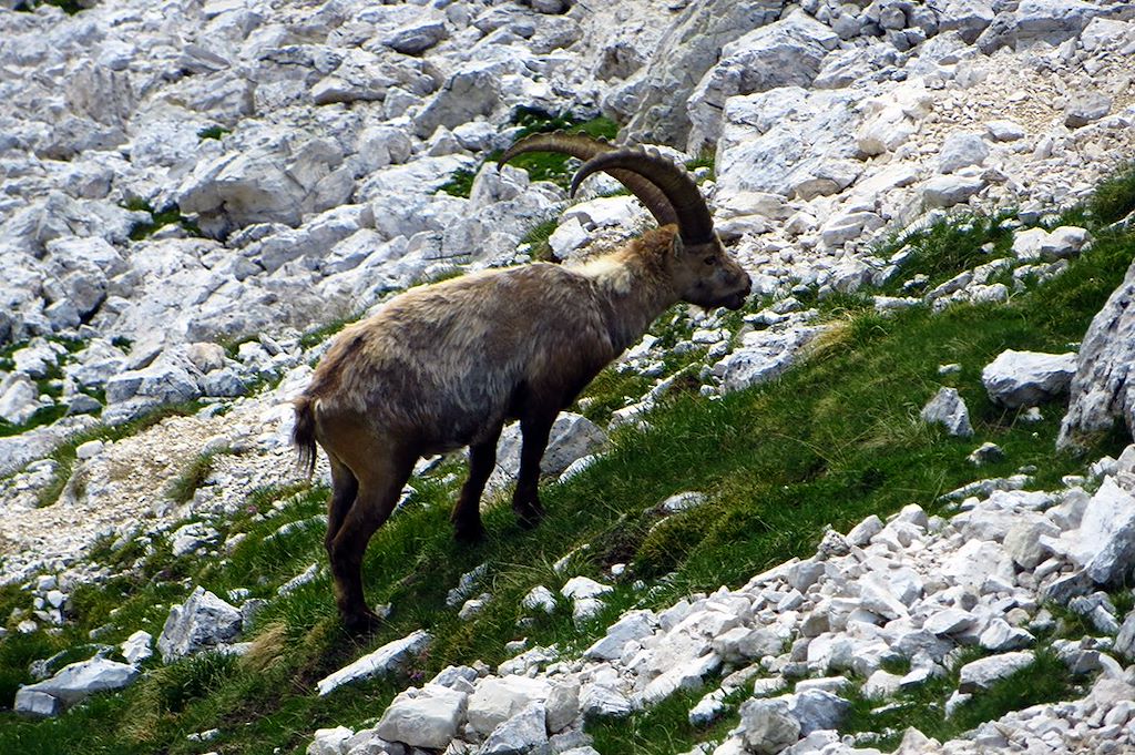 Image Randonnée Dolomites - Randonnée Italie
