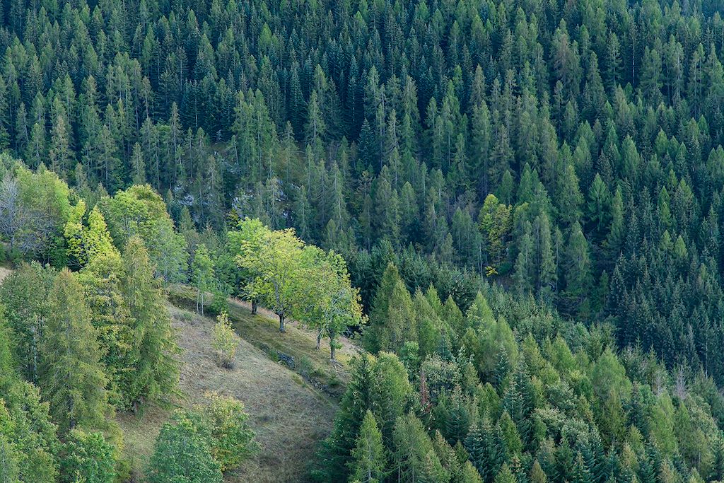 Image Le Val Maira en VTT - vélo vallée d'Elva - Rocca la Meja