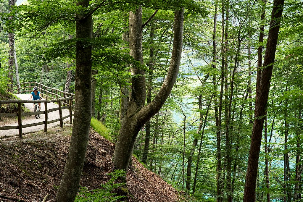 Image Piste cyclable lac de garde - Trentin-Haut-Adige à vélo - Lombardie à vélo
