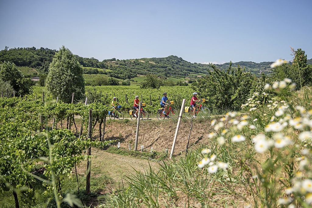 Image De Bolzano à Venise à vélo - Padoue, Vérone et le lac de Garde