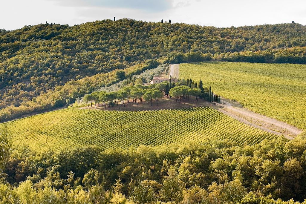 Image Cinque Terre à vélo - Pise et la Toscane à vélo