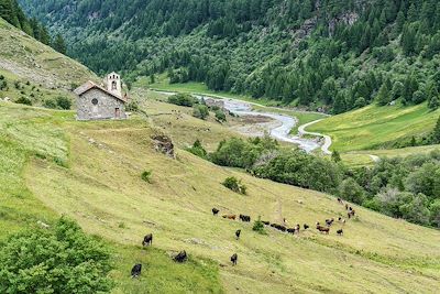 Valgrisenche dans la vallée d’Aoste - Italie