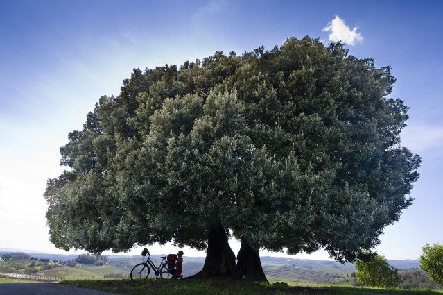 Image De Pise aux Cinque Terre à vélo