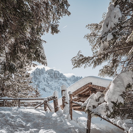 Raquette Italie Dolomites