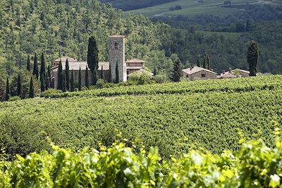 Gaiole in Chianti - Toscane - Italie