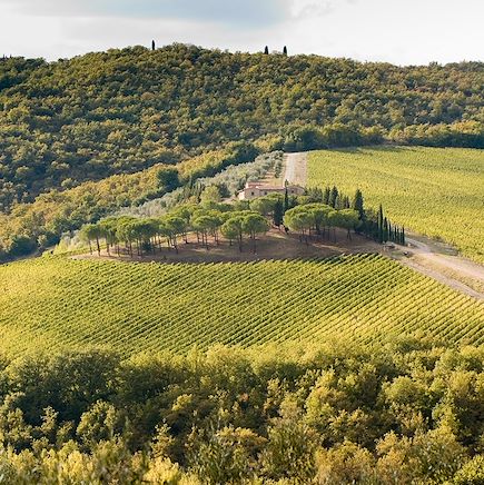 Vélo Italie Cinque Terre à la Toscane