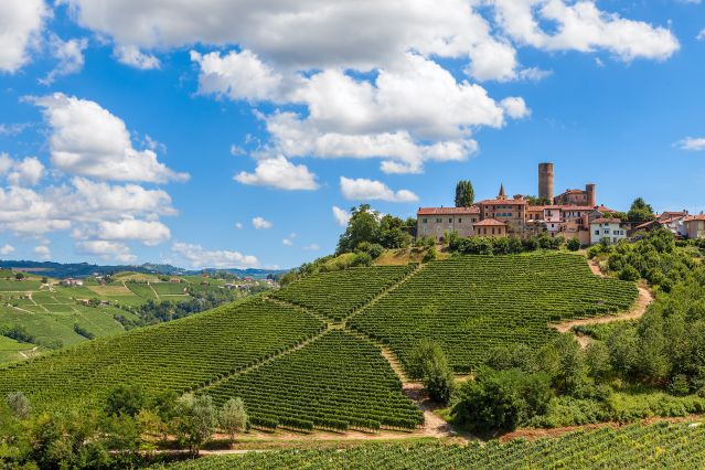 Village perché entouré de vignes, Piemont-Italie