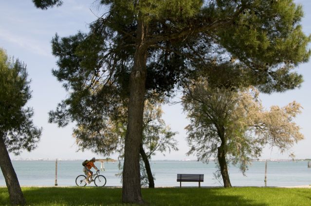 Image Découverte à vélo de la lagune de Venise