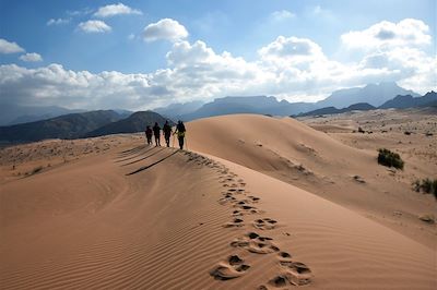 Dans le wadi Araba - Jordanie