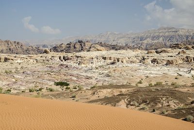© Emilie Delfaut - Désert de Regana - Jordanie Désert de Regana - Jordanie