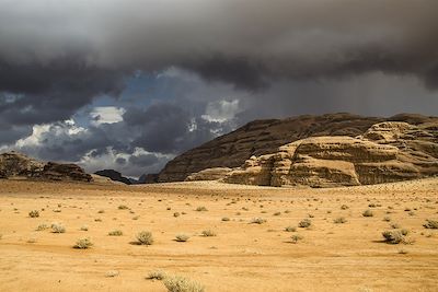 Orage sur le wadi Rum - Jordanie