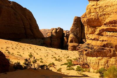 Le désert du Wadi Rum - Jordanie