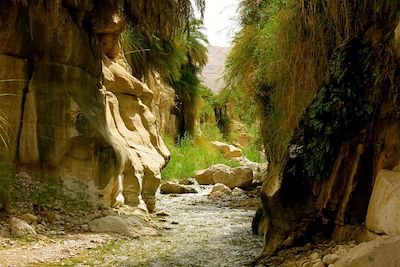 Le Wadi Ibn Hammad - Jordanie