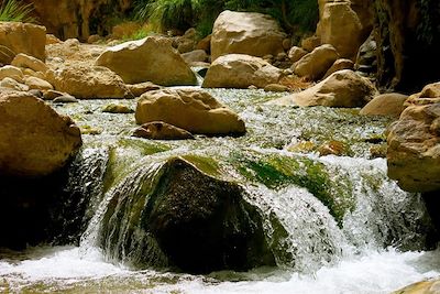 Le Wadi Ibn Hammad - Jordanie