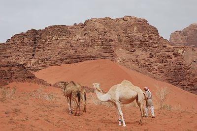 Wadi Rum - Jordanie