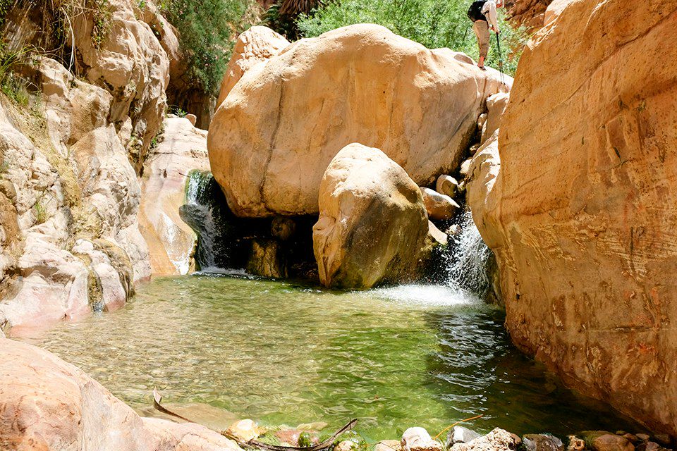 Image marche wadi Ghweir - baignade wadi Bin Hammad - campement bédouin Wadi Rum