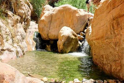 Wadi Ghuweir - Jordanie