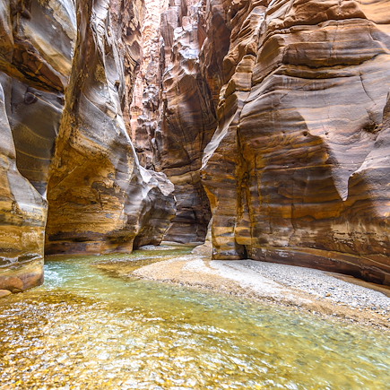 Multi-activités Jordanie