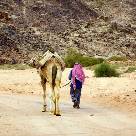 Autotour Jordanie