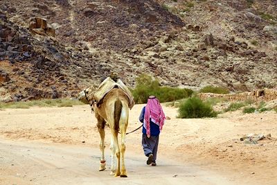 Wadi Rum - Jordanie