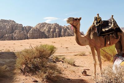 © Anne Laupretre - Wadi Rum - Jordanie Wadi Rum - Jordanie