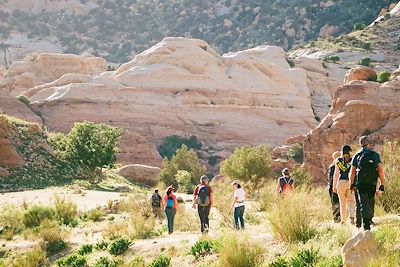 Réserve de Dana - Jordanie