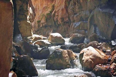 Le wadi ibn hammad - Jordanie