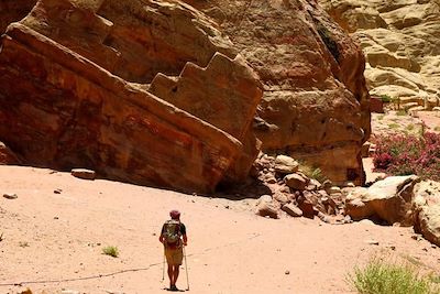 Randonnée au coeur de la cité antique de Pétra - Jordanie