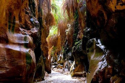 Le Wadi Ibn Hammad - Jordanie