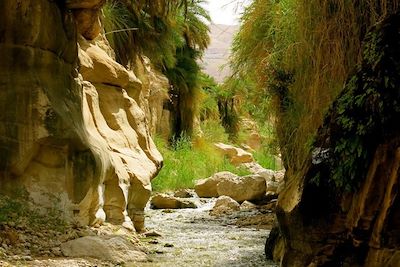 Le Wadi Ibn Hammad - Jordanie