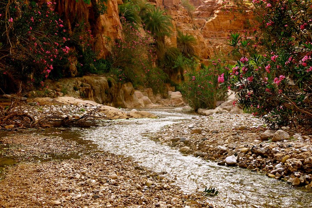 Image Randonnée Jordanie - Voyage Petra - Reserve de Dana