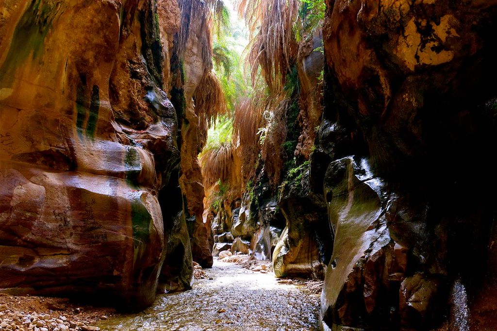 Image Randonnée Jordanie - Voyage Petra - Reserve de Dana