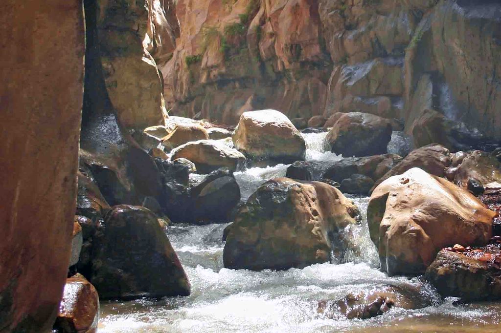 Image Randonnée vallée Arc en Ciel - ascension Umm al Dami - randonnée forêt d'Ajloun - Visite de Petra -