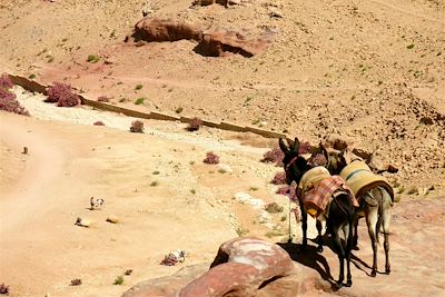 La cité antique de Pétra - Jordanie