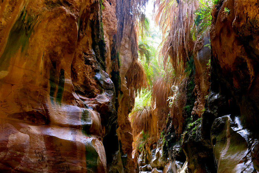 Image Snorkeling À Aqaba, Cours De Cuisine Bedouine À Pétra, Chameau Dans Le Wadi Rum