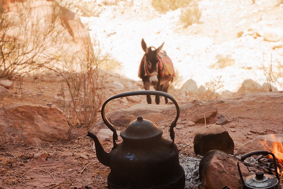 Image Snorkeling À Aqaba, Cours De Cuisine Bedouine À Pétra, Chameau Dans Le Wadi Rum