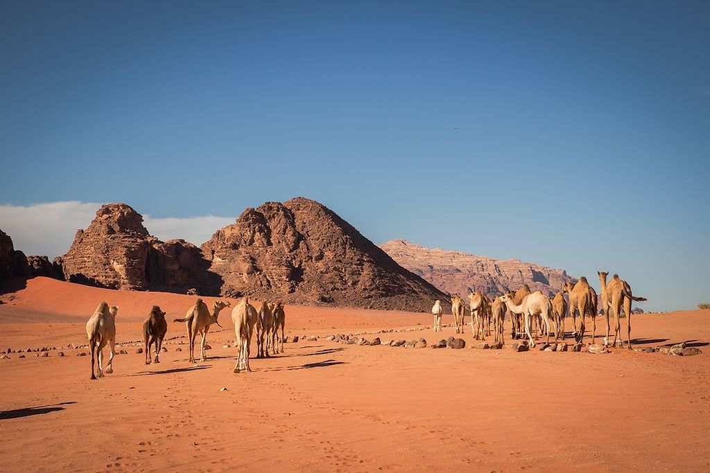 Image Randonnée Chamelière Dans Le Désert Du Wadi, Aventure Dans La Cité Antique De Pétra