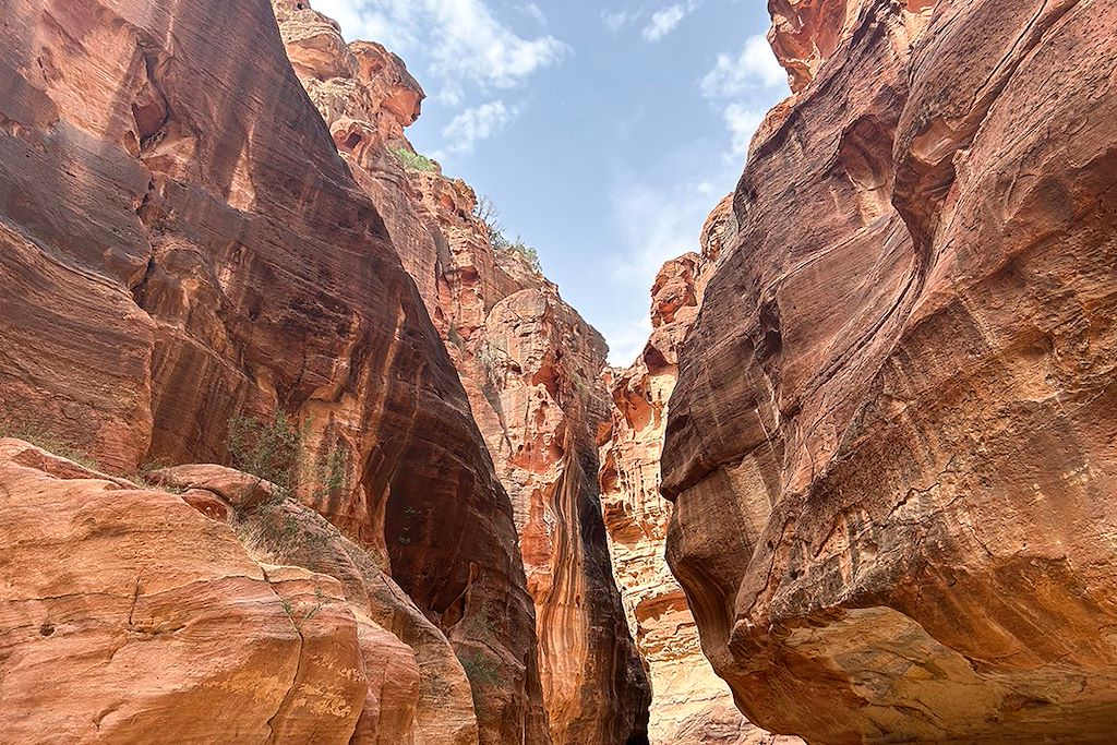 Image Excursion dans le Wadi Rum en VTT - Traversée de la Jordanie à VTT - Jordan bike trails