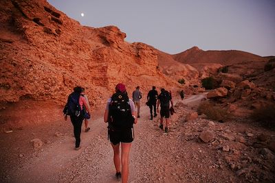 Randonnée de fin de journée pour rejoindre le bivouac, Wadi Gharandal 