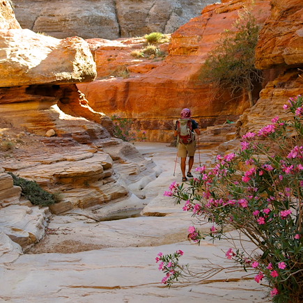Randonnée Jordanie Mer Morte