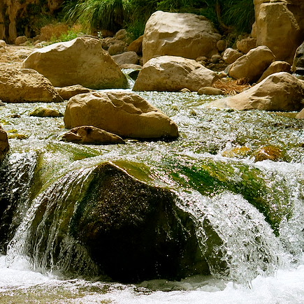 Randonnée Jordanie Mer Morte