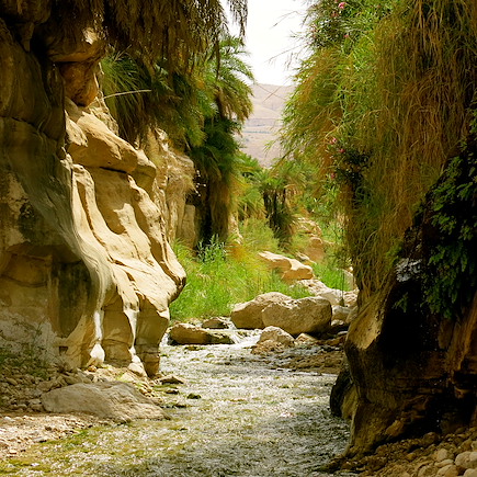 Randonnée Jordanie Mer Morte
