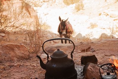 Pause thé - Wadi Sabrah 