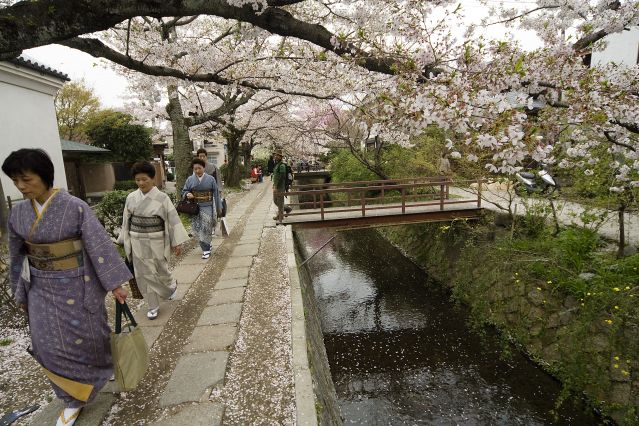 Voyage à pied : Voyage au Japon, de Tokyo à Miyajima